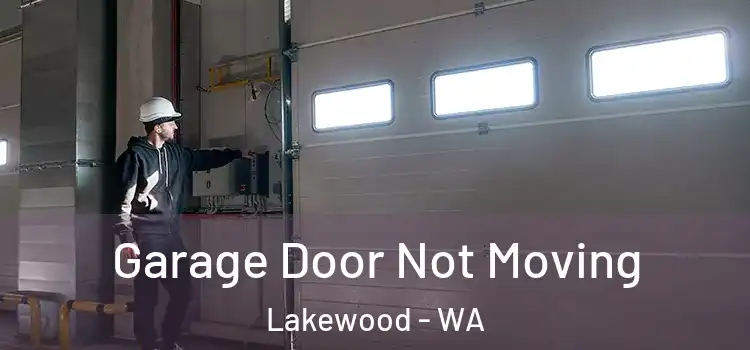  Garage Door Not Moving Lakewood - WA
