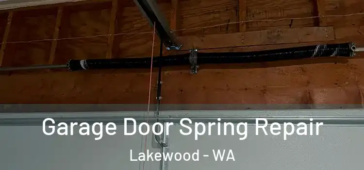  Garage Door Spring Repair Lakewood - WA