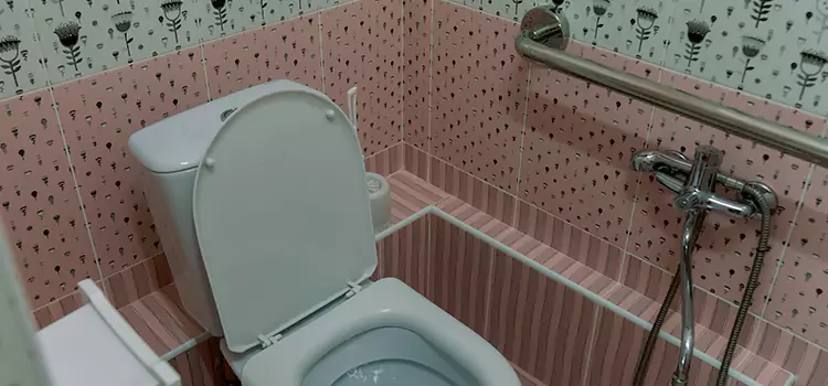 Meeting Diverse Needs With Accessible Restroom Solutions in Lakewood, WA